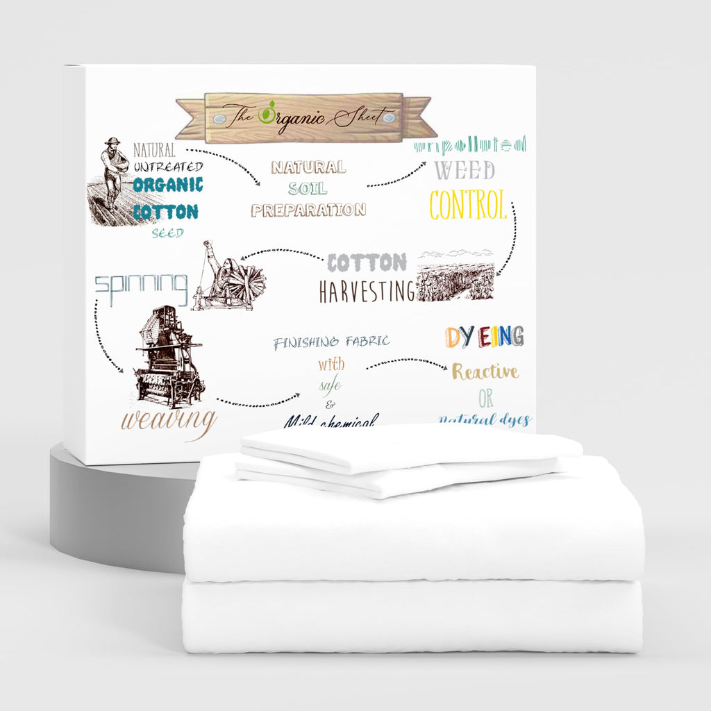 Organic Cotton Queen Sheet Set